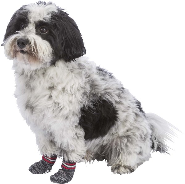 Hundsockar non-slip 2-pack Trixie