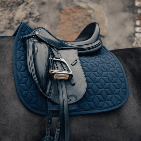 dressyrschabrak-haglunds-häst