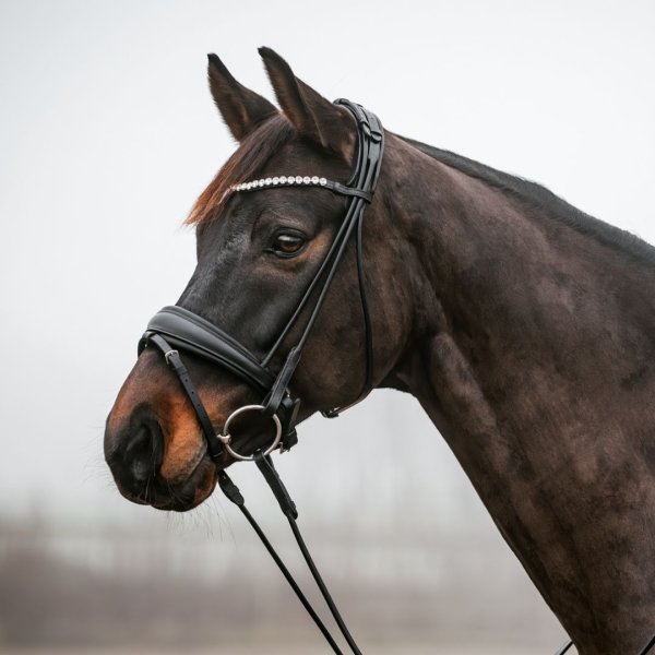 Träns Rundsytt GPC Haglunds