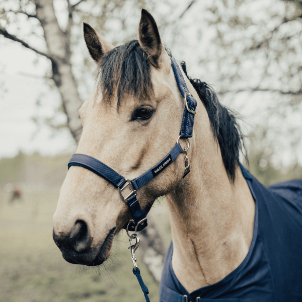 Grimma Frotte Haglunds