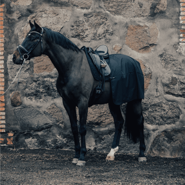 ridtäcke-häst