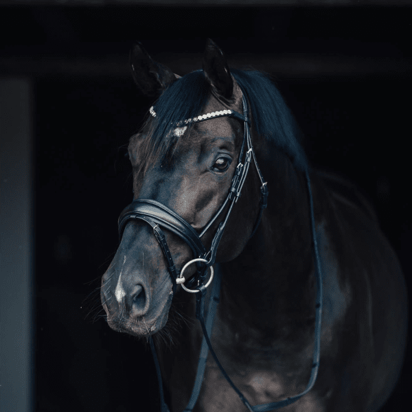 Rundsytt Dressyrträns Pirouette Haglunds