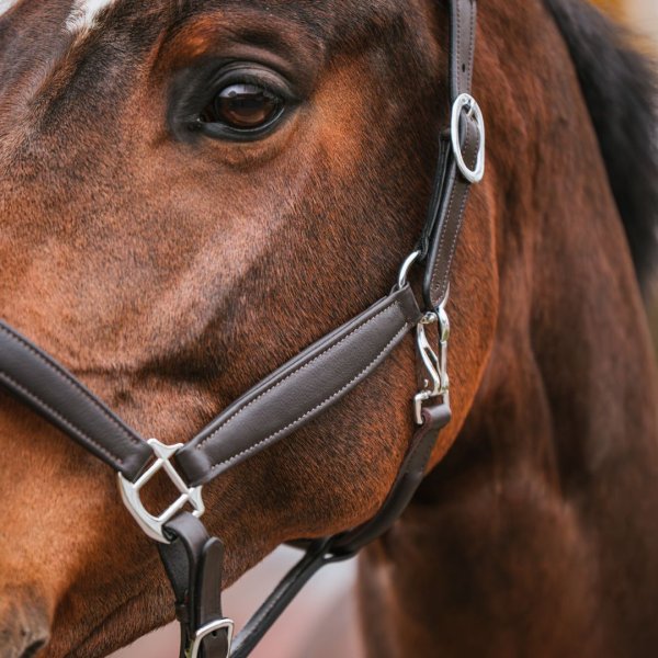 Lädergrimma New Basic Haglunds