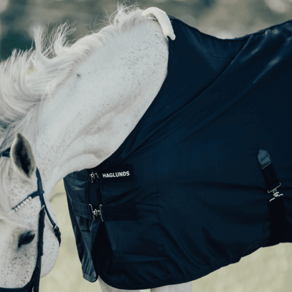 lätt och luftigt luftigt sommartäcke till häst bomull