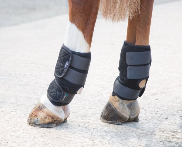 Hot/Cold Joint relief skydd Arma Shires