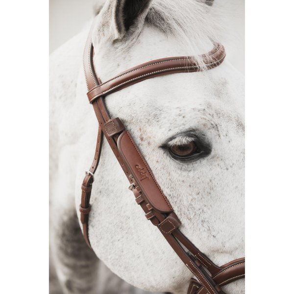 Blinkers Supreme Lippo