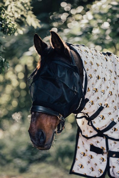 Flughuva Öppen Utan Öron Haglunds