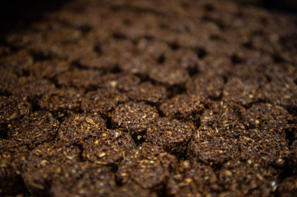 Hästgodis Studs Muffins