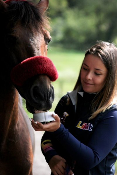 Slicksten 250 g Likit