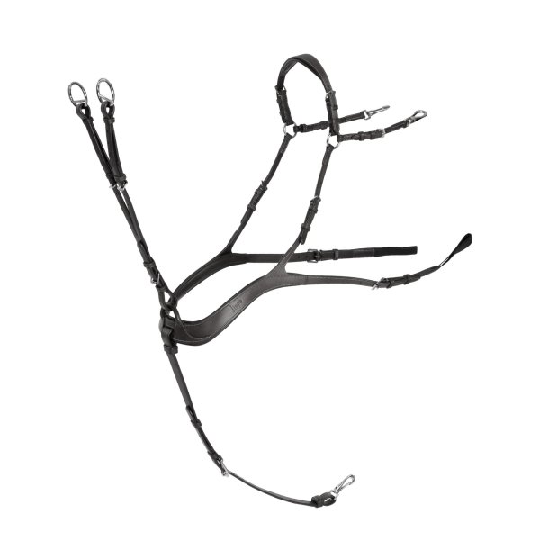 Förbygel 5-punkts brösta Lippo