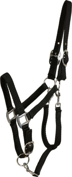 Grooming grimma Saby Horse Guard