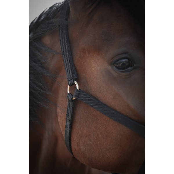 Grimma Track Protector