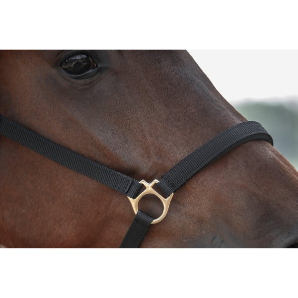 Grimma Track Protector
