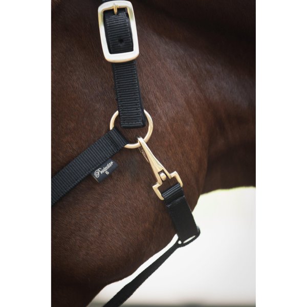 Grimma Track Protector