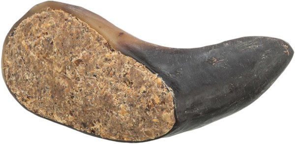 Hundtugg Buffelhorn Fylld Trixie