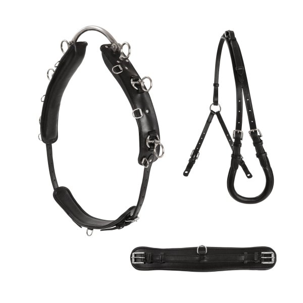 Tömkörningsgjord Ponny Lippo