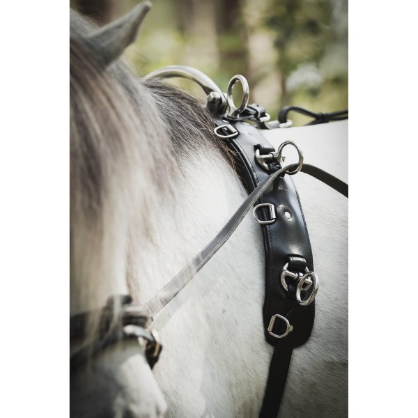 Tömkörningsgjord Ponny Lippo