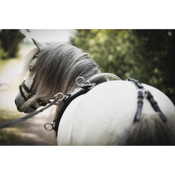 Tömkörningsgjord Ponny Lippo