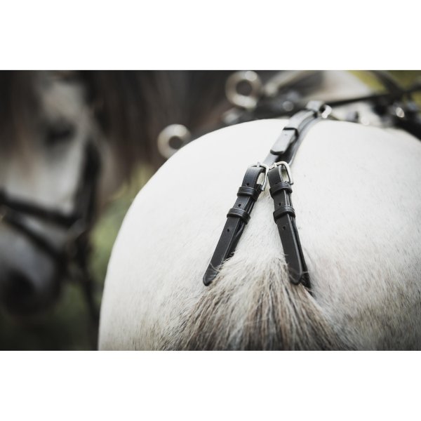 Tömkörningsgjord Ponny Lippo