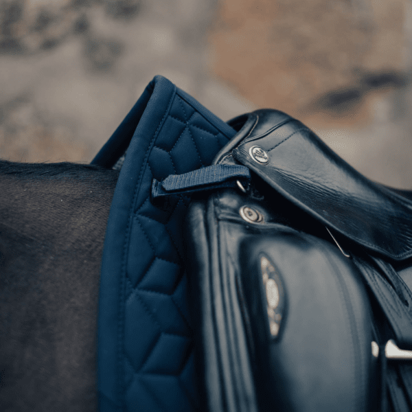 dressyrschabrak-haglunds-häst