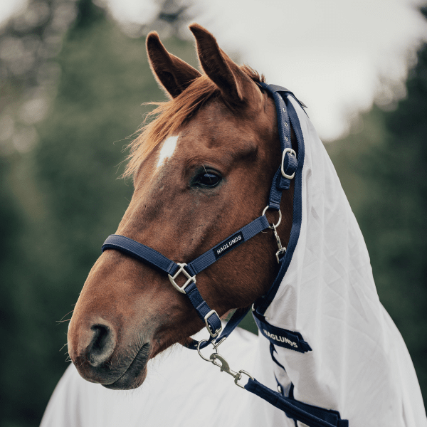 Grimma Frotte Haglunds