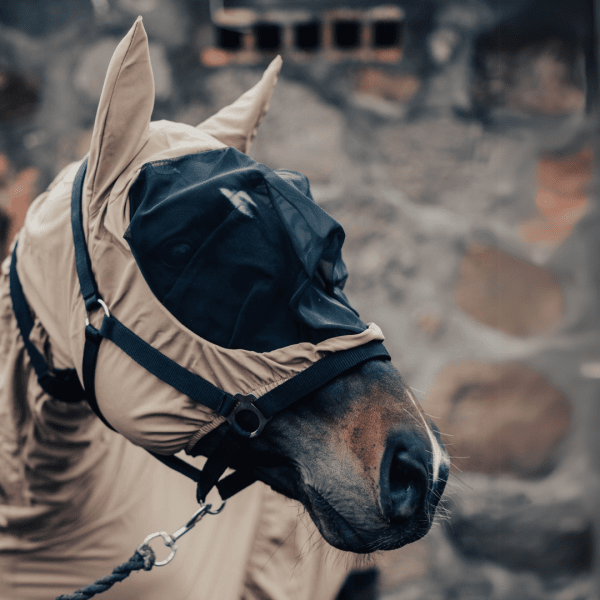 Eksemhuva-häst-haglunds