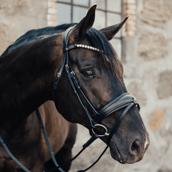 Rundsytt Dressyrträns Pirouette Haglunds