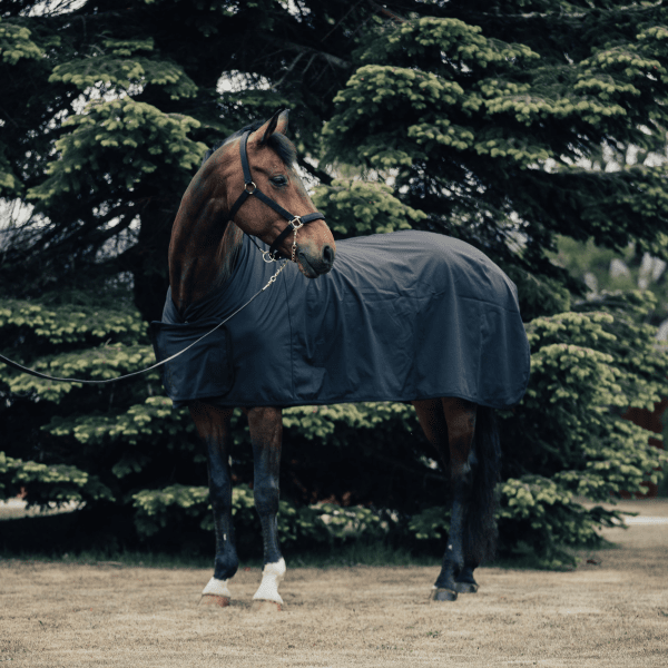 Tävlingstäcke Softshell Haglunds