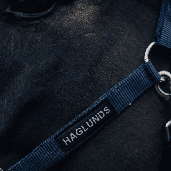 grimma-häst-haglunds