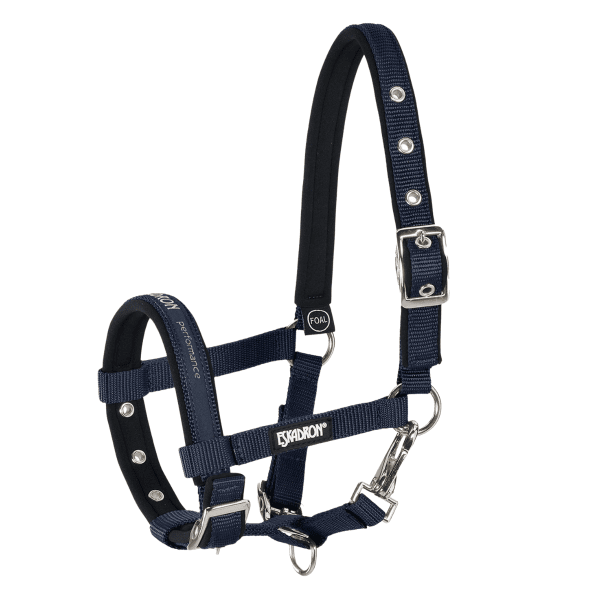 Fölgrimma Foal New Basics Eskadron
