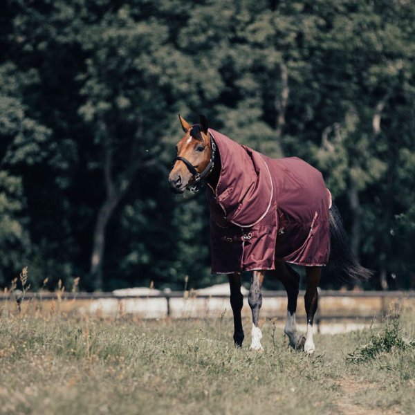 regntacke-hast-50g-avtagbar-hals