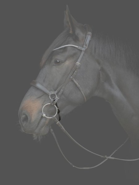 Hakrem Gentle Catago