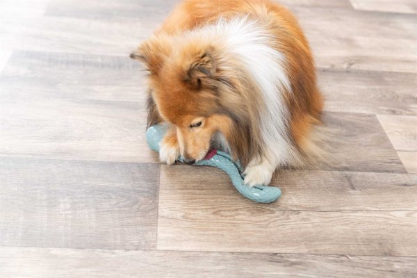 Snacksorm 27cm Trixie