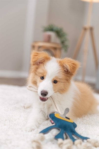 Hundleksak Monster 47cm Trixie