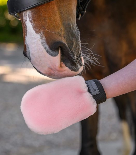 Groominghandske Lucky Lammskinn Waldhausen