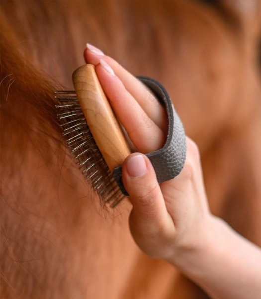 Manborste Exclusive Line Waldhausen