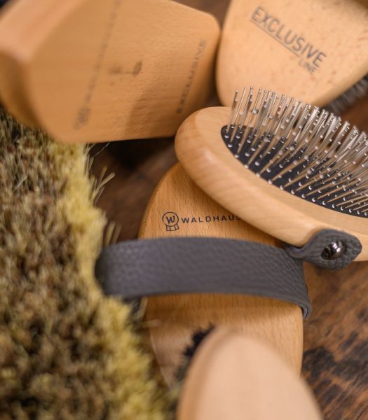 Manborste Exclusive Line Waldhausen