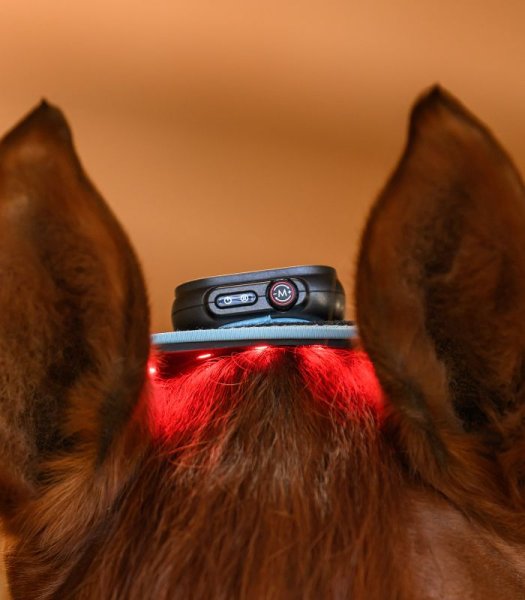 Infrared FlexPad Health + Care Waldhausen