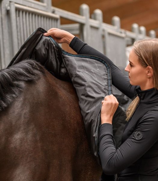 Värme och massagetäcke Health + Care Waldhausen