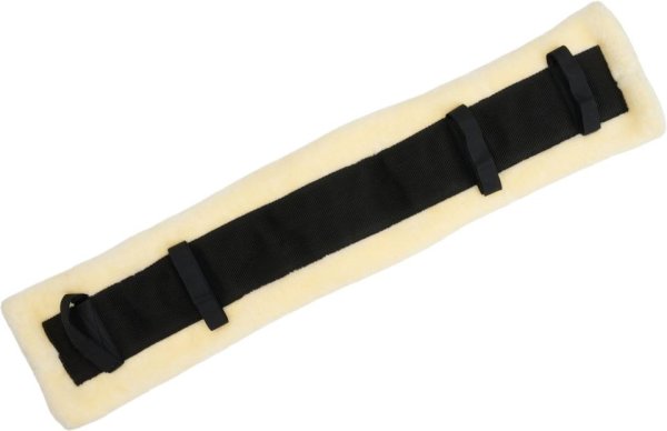 Padd till longeringsgjord Horse Guard