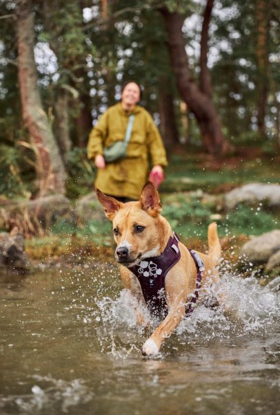 Hundsele Weekend Warrior II ECO Hurtta