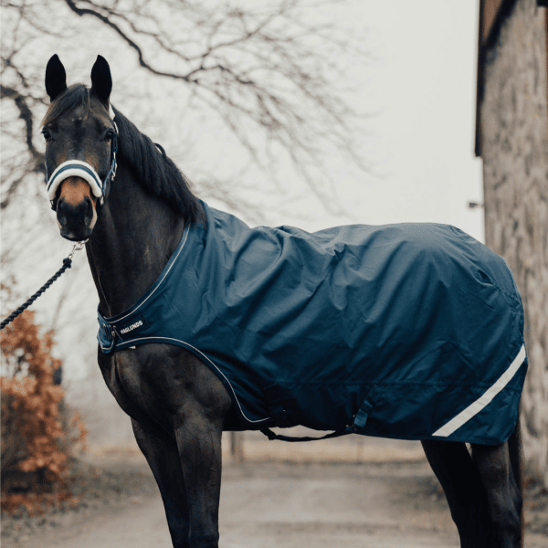 skrittmaskinstäcke-häst