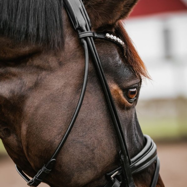 Träns Rundsytt GPC Haglunds