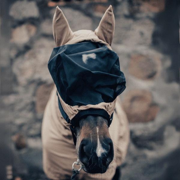 eksemluva-häst-haglunds