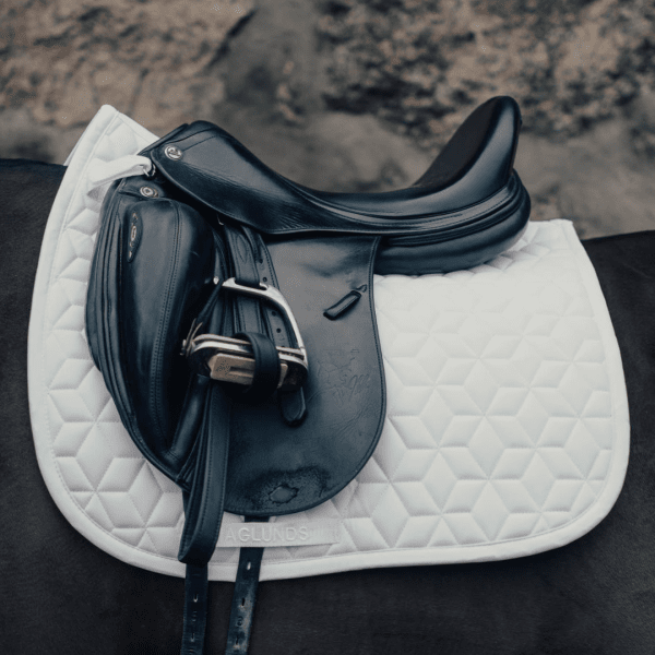 dressyrschabrak-haglunds-häst