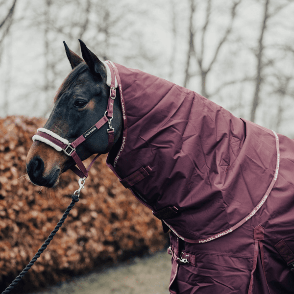 vintertacke-150g-hast-avtagbar-hals