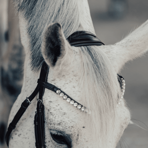 Brunt anatomiskt ergonomiskt nackstycke häst
