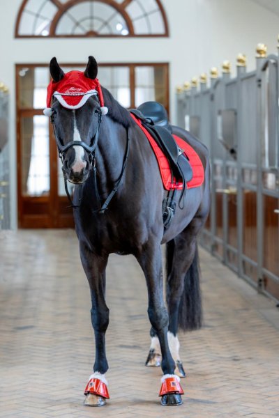 Tomteluva till Häst Glitter Horse Guard