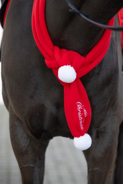 Julhalsduk för häst Horse Guard