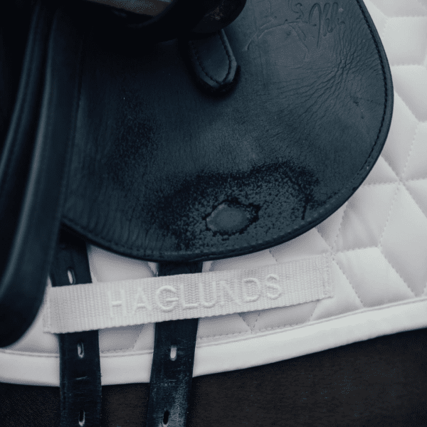 dressyrschabrak-haglunds-häst